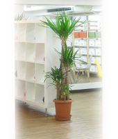 セミナールーム